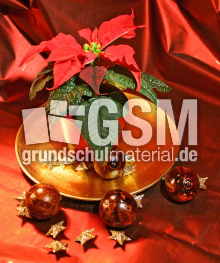5-Weihnachtsmotive 078.jpg